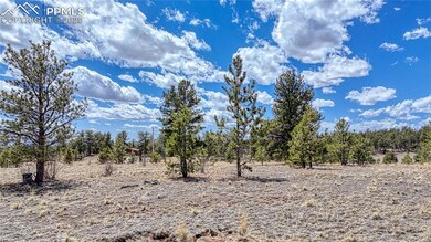 403 Jasper Way, Hartsel, CO 80449 - photo 6