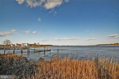 161 Riverview Dr, Dagsboro, DE 19939 - photo 4