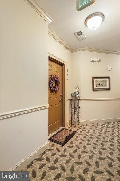 8616 Wintergreen Ct unit 206, Odenton, MD 21113 - photo 5