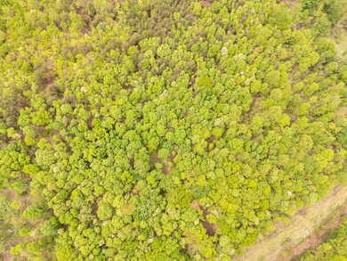 04-95Acre Lot_04