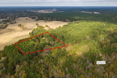 TBD Grace Scott Cutoff, Karnack, TX 75661 - photo 4