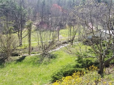 2525 Little Creek Rd, Burnsville, NC 28714 - photo 3