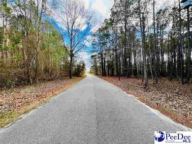 Lot 37 Berry Rd, Latta, SC 29565 - photo 2