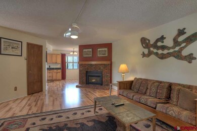 161 E 33rd St unit 6, Durango, CO 81301 - photo 3