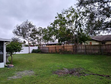 Back yard