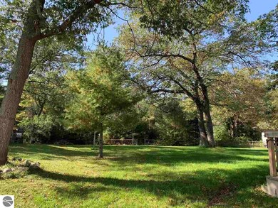 Large Fenced In Backyard