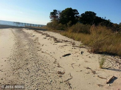 43833 Bardmore Way, Leonardtown, MD 20650 - photo 4