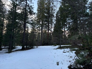 164 Vireo Way, Arnold, CA 95223 - photo 7