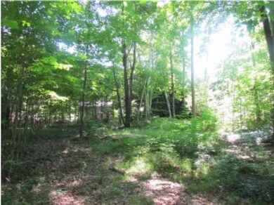 36 Pollard Rd, Lincoln, NH 03251 - photo 7