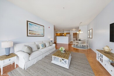 965 Rogers St unit 202, Downers Grove, IL 60515 - photo 4