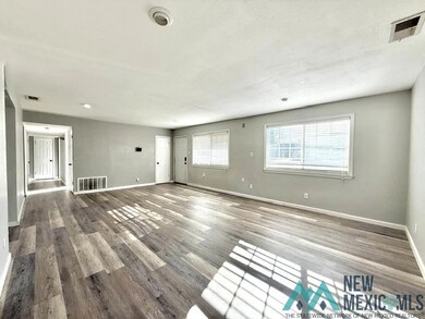 1012 N 8th St, Carlsbad, NM 88220 - photo 4