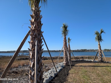 171 Big Hammock Point Picture 4
