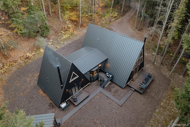 521 Perry Rd, Swan Lake, NY 12783 - photo 4