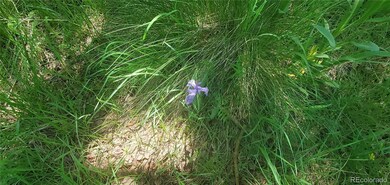 Lot 3085 Henderson Dr unit 3085, Fort Garland, CO 81133 - photo 7