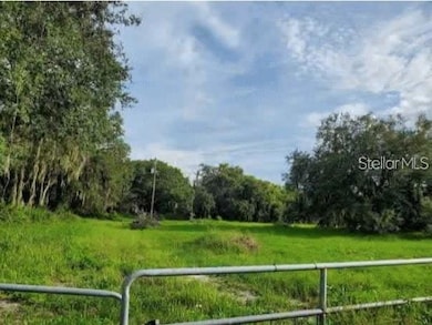 10510 Sumner Rd, Wimauma, FL 33598 - photo 2