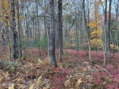 Lot 7 Whispering Oaks Rd, Lackawaxen Township, PA 18425 - photo 2