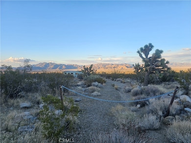 411 Powerline Rd, Lucerne Valley, CA 92356 - photo 5