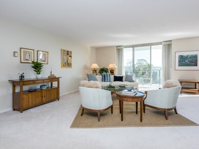 Imperial Towers unit 614, Chestnut Hill, MA 02467 - photo 3