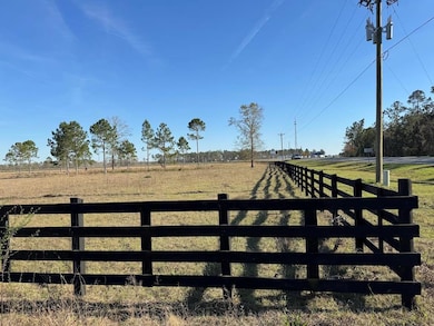 US 1 Us 1 and Hwy 23, Alma, GA 31510 - photo 5