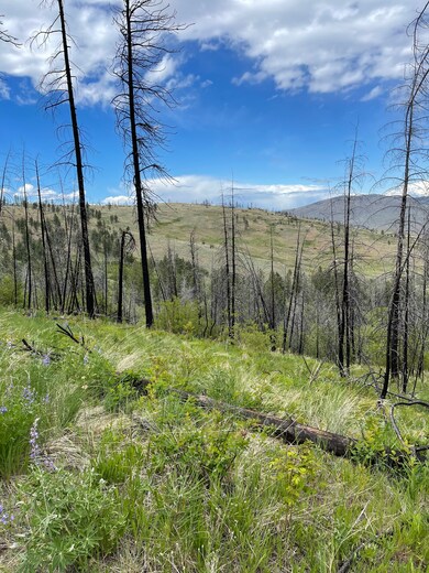 960X Knox Rd, Riverside, WA 98849 - photo 6