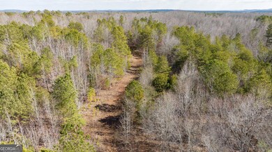 573 Relay Rd SE, Silver Creek, GA 30173 - photo 5