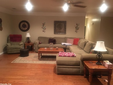 213 S Center Hill Rd, Paragould, AR 72450 - photo 4