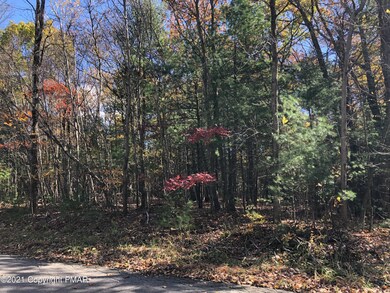 0 N Long Mountain Dr unit PM-92502, Effort, PA 18330 - photo 4