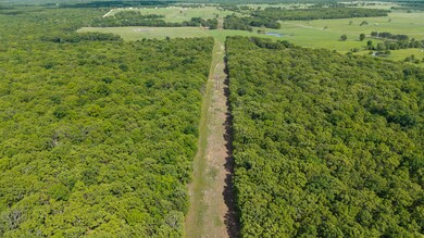 dji_20250503151042_0739_d