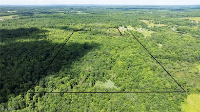 Aerial view of property's location with a heavily wooded area and property boundaries highlighted