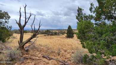 5184 S Starlit Trail, Williams, AZ 86046 - photo 5