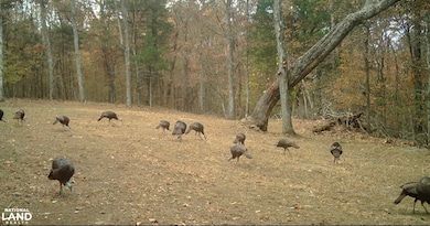 0 Southard Rd unit 25767772, Gurley, AL 35748 - photo 2