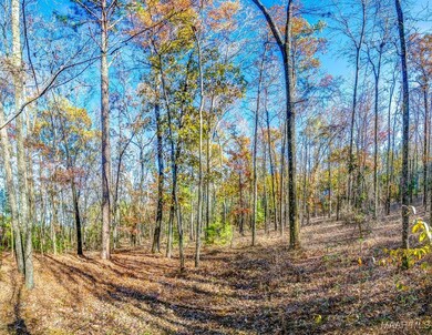 69 Highway 80 Rd, Auburn, AL 36830 - photo 5