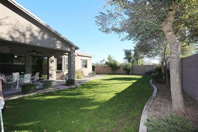 Spacious backyard