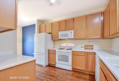 13259 Cedar Crest Ln, Huntley, IL 60142 - photo 3