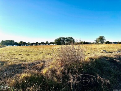 48 +/- Ac County Road 936, Brookland, AR 72417 - photo 5