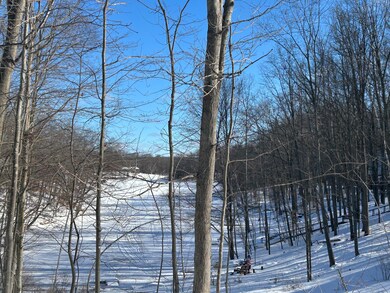 11490 Alpine Rd unit 43, Canadian Lakes, MI 49346 - photo 4