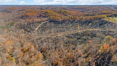 DJI_20241105111717_0021_D