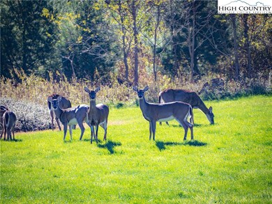 17 Antler Trail, Boone, NC 28607 - photo 4