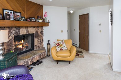 802 W 80th Ave Anchorage AK-large-007-Li