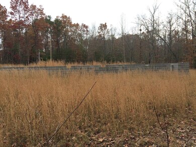 0 Wallace Way unit 1101334, Grimsley, TN 38565 - photo 4