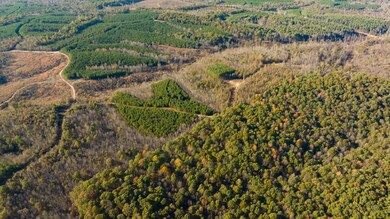 0 Old Highway 18 unit RTC2588368, Stewart, TN 37175 - photo 5