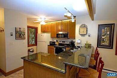 634 Pedlars Edge Dr, Wintergreen Resort, VA 22967 - photo 5