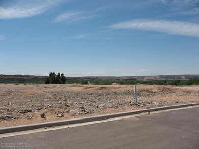 2825 Brittlebrush Dr, Farmington, NM 87402 - photo 2