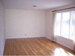 Large living room