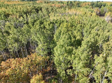 TBD NW Cedar Crest Loop, Walker, MN 56484 - photo 6