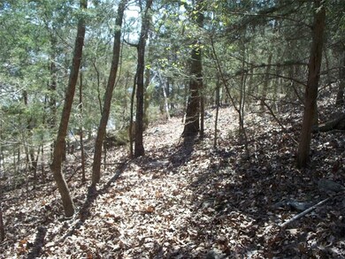 Gentle path to Boat Dock