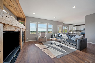 12420 Verbena St, Brighton, CO 80602 - photo 6