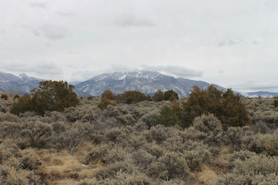 Lot 14 Cavalry Camp Rd, Arroyo Seco, NM 87529 - photo 2