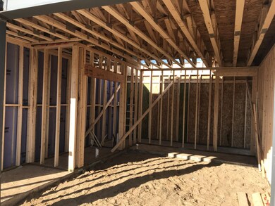 Garage Framing