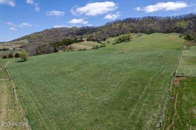 DJI_0724